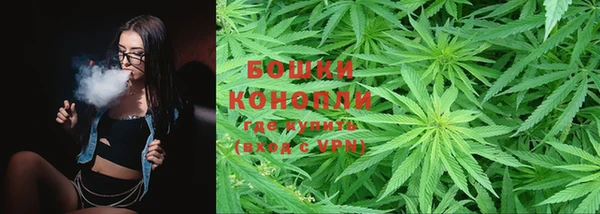 твердый Аркадак