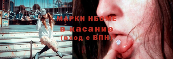 твердый Аркадак